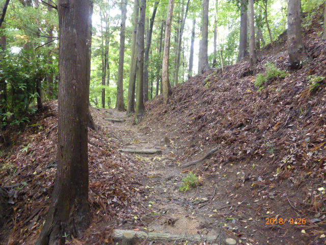 f:id:hana08090507:20210613223158j:plain