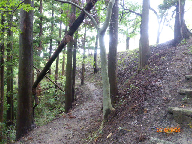 f:id:hana08090507:20210613223217j:plain