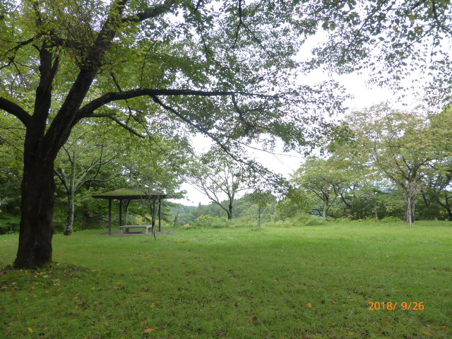 f:id:hana08090507:20210613223236j:plain