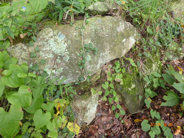 f:id:hana08090507:20210613223607j:plain