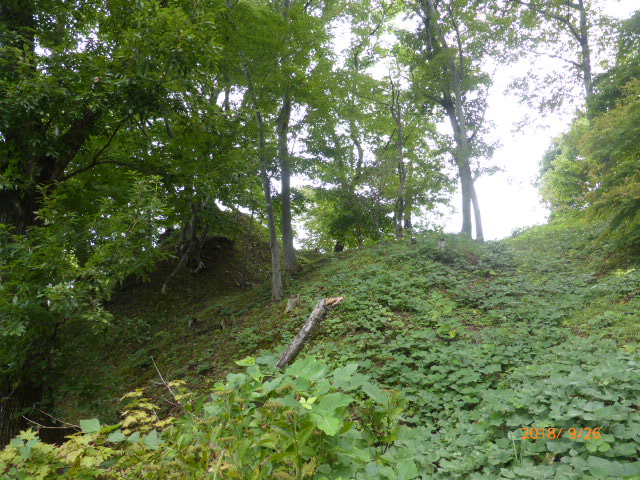 f:id:hana08090507:20210613223720j:plain