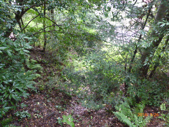 f:id:hana08090507:20210613224001j:plain