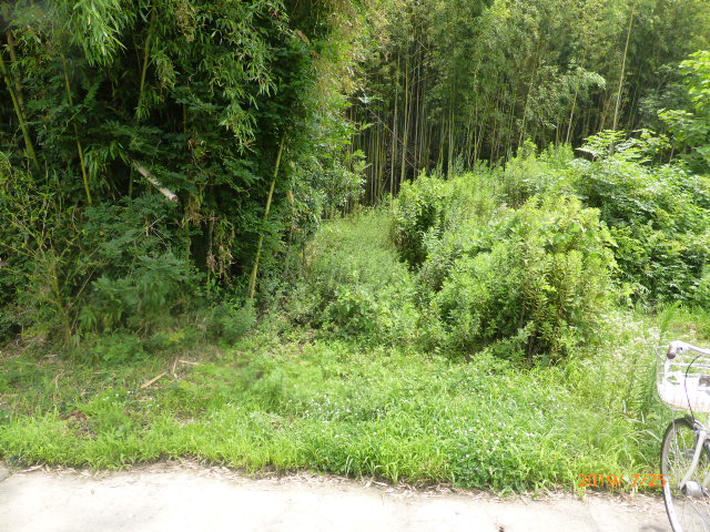 f:id:hana08090507:20211214201126j:plain