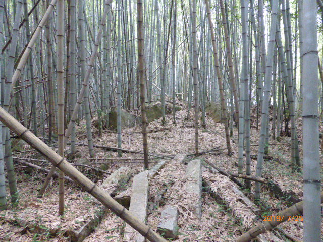 f:id:hana08090507:20211214201347j:plain