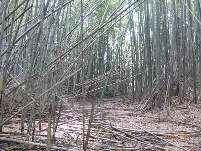 f:id:hana08090507:20211214201417j:plain