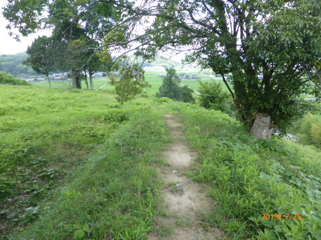 f:id:hana08090507:20211214202732j:plain