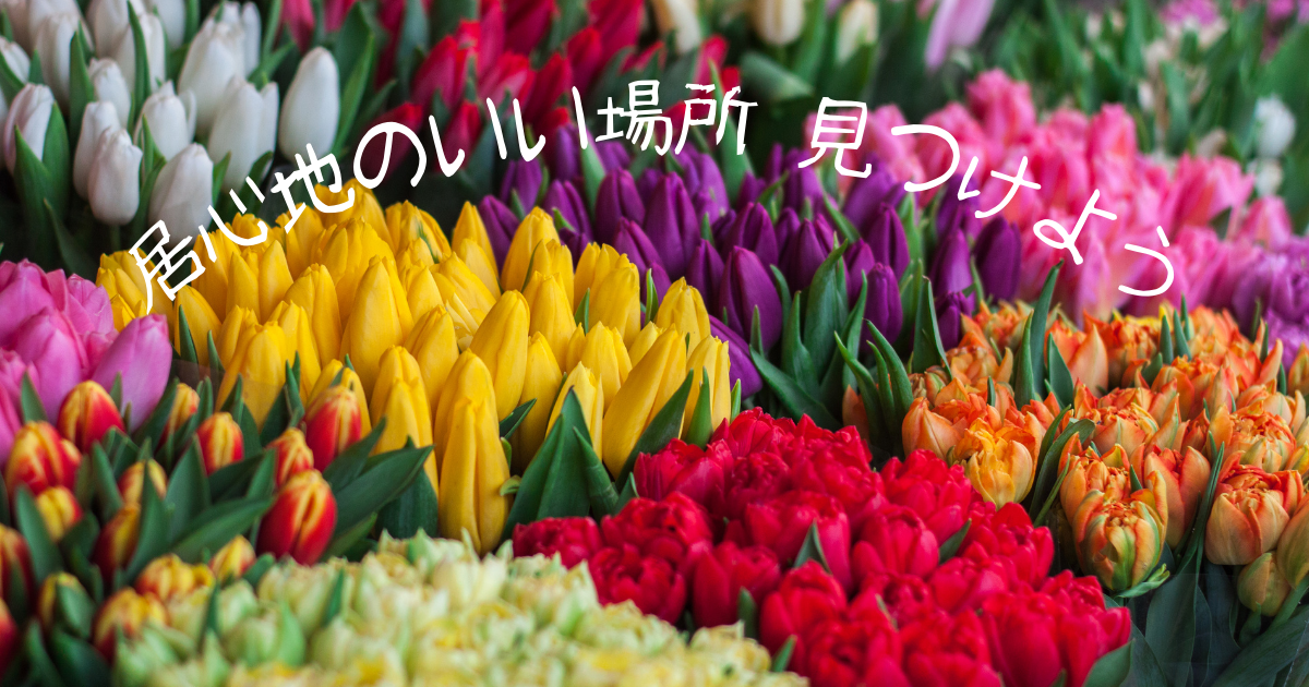 f:id:hana0903:20210310121245p:plain