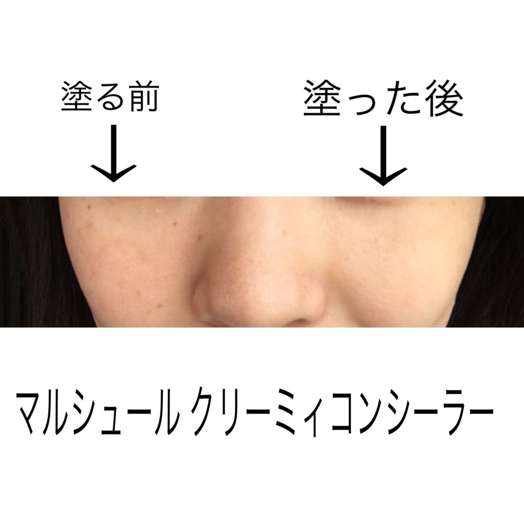 f:id:hana201605:20161114144117j:plain