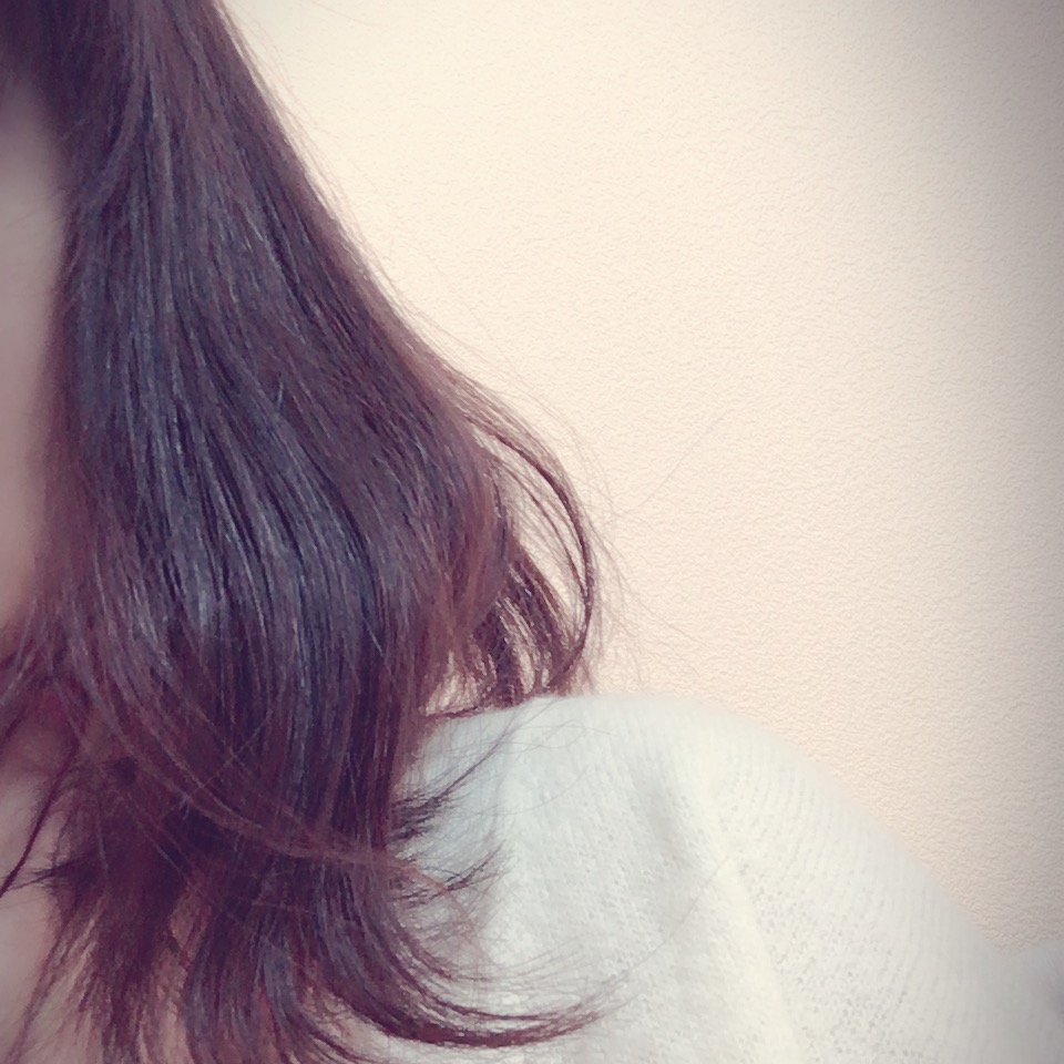 f:id:hana201605:20170207103406j:plain