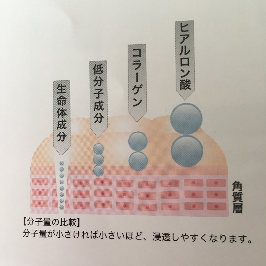 f:id:hana201605:20180912142257j:plain