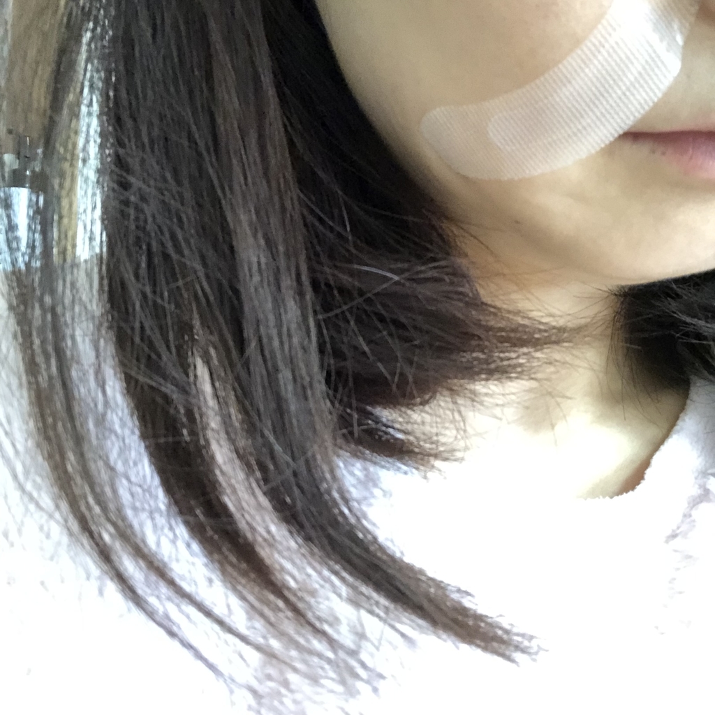 f:id:hana201605:20190214221427j:plain