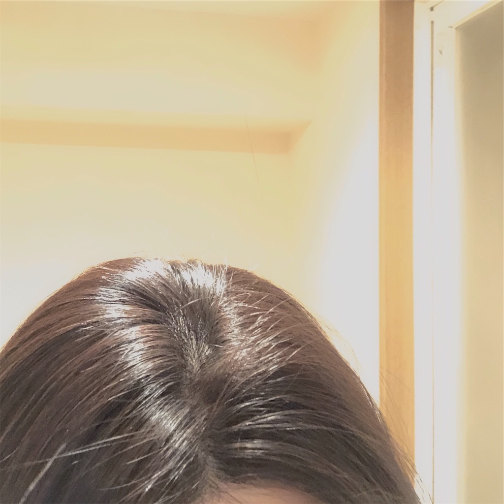 f:id:hana201605:20200201224103j:image f:id:hana201605:20200201224103j:image