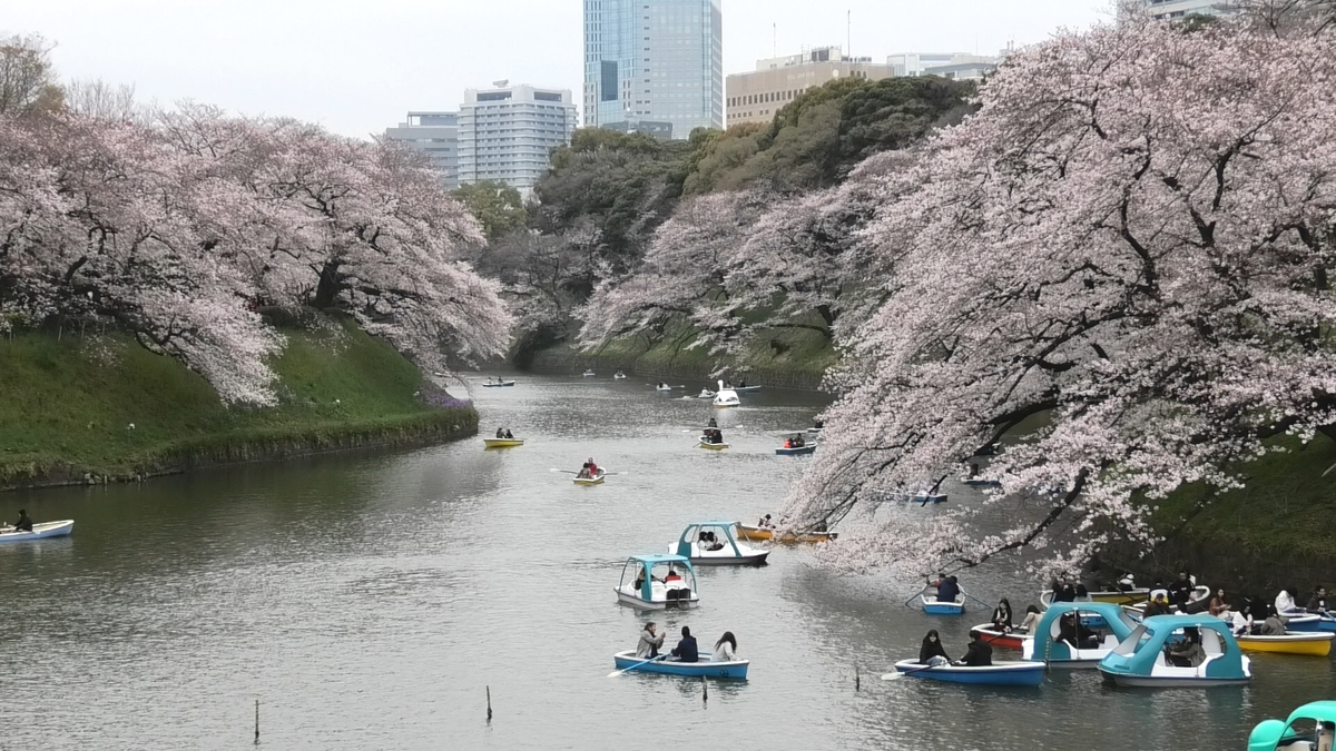 f:id:hana22-mich01:20190330233322j:plain