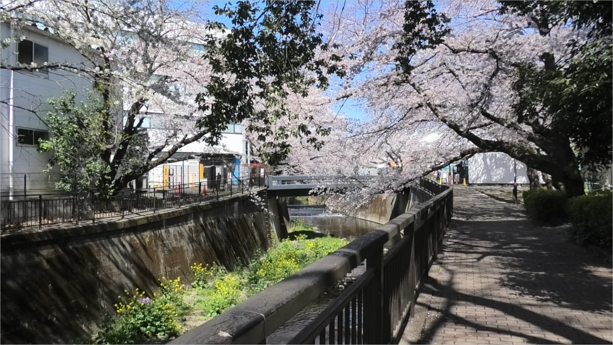 f:id:hana22-mich01:20190404195941p:plain