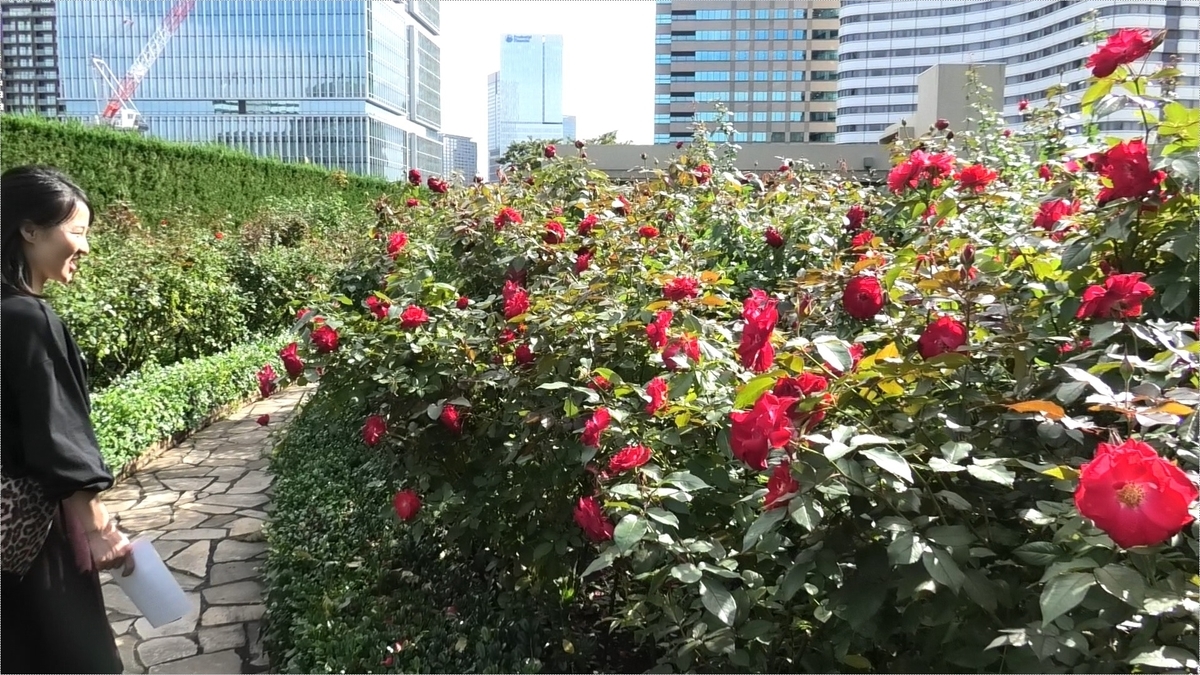 f:id:hana22-mich01:20191027223245j:plain f:id:hana22-mich01:20191027223245j:plain