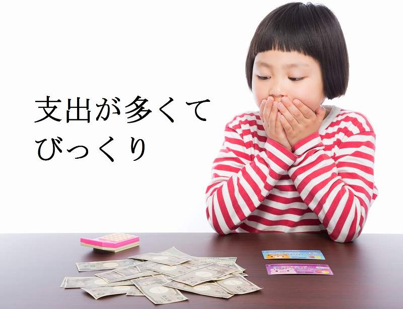 5月の支出が80万円を超えててビックリ！ボーナスは減った貯蓄にまわさなきゃ