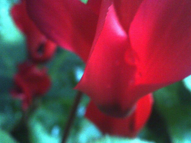 f:id:hana3hana:20170314235630j:image f:id:hana3hana:20170314235630j:image