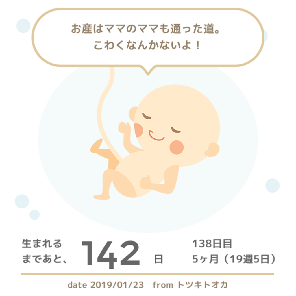 f:id:hana52s:20190123225035p:image