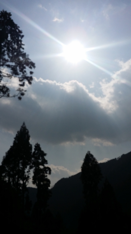 f:id:hana7_1111:20180314230219j:plain