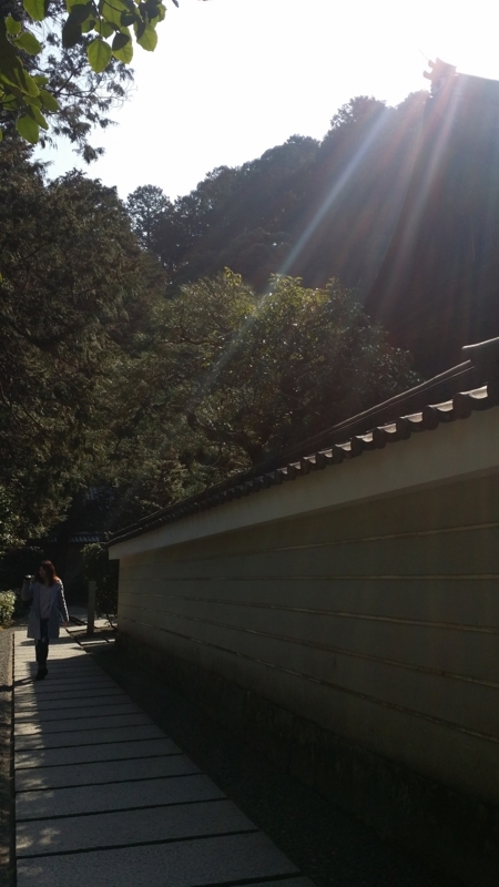 f:id:hana7_1111:20180318204614j:plain