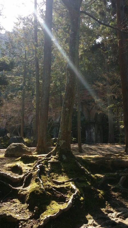 f:id:hana7_1111:20180318204624j:plain