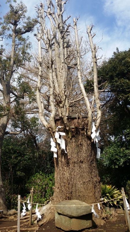 f:id:hana7_1111:20180329010549j:plain f:id:hana7_1111:20180329010549j:plain