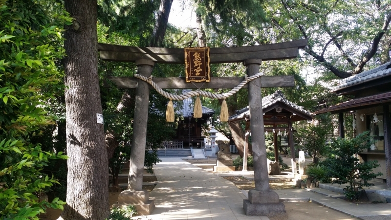 f:id:hana7_1111:20180819130103j:plain f:id:hana7_1111:20180819130103j:plain