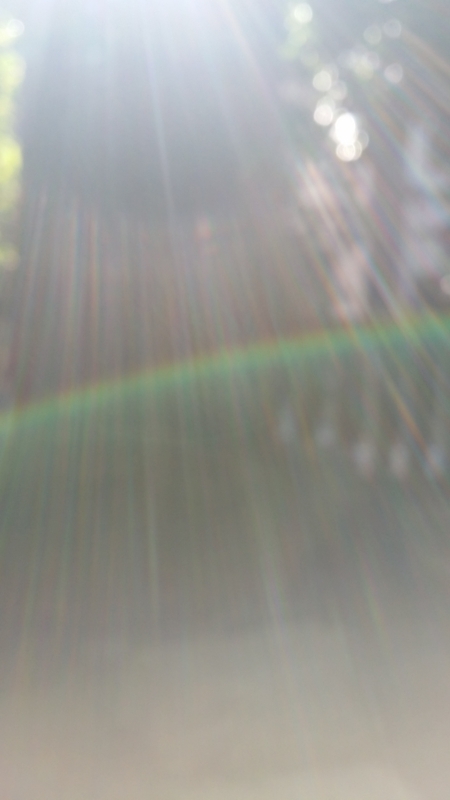 f:id:hana7_1111:20180819130320j:plain f:id:hana7_1111:20180819130320j:plain