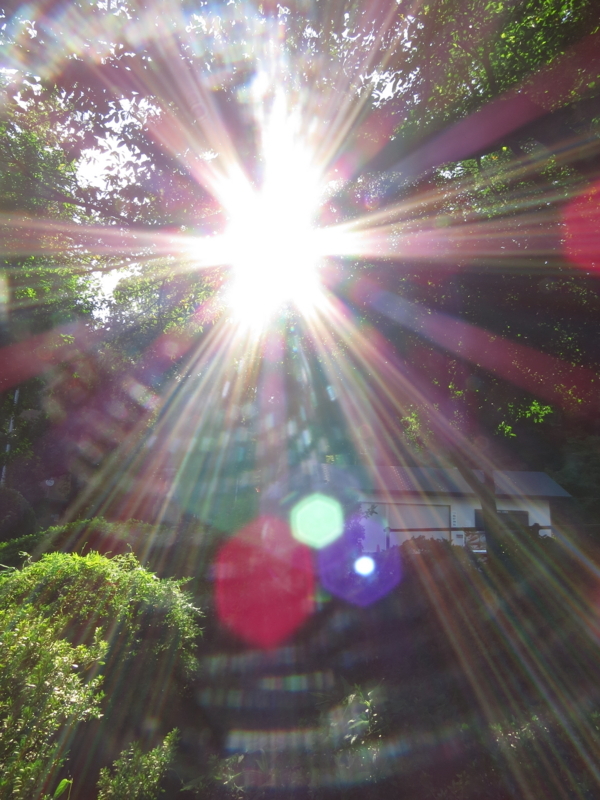 f:id:hana7_1111:20180828002932j:plain