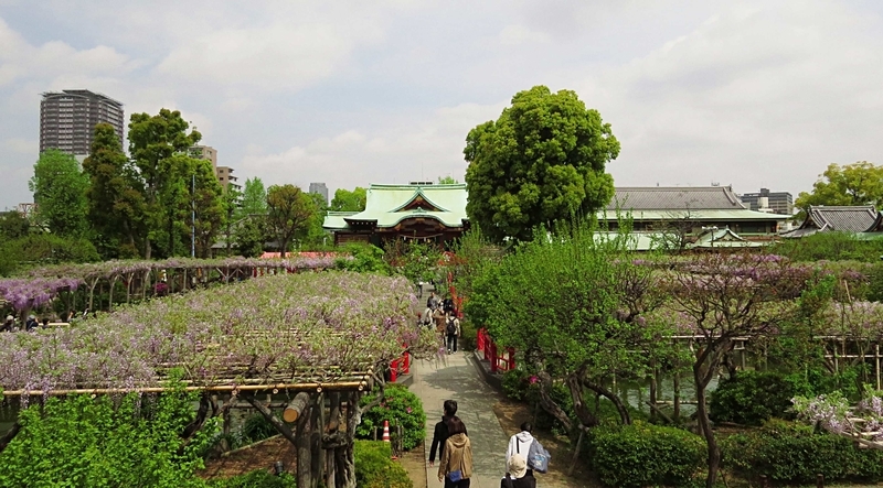 f:id:hana7_1111:20190423224941j:plain