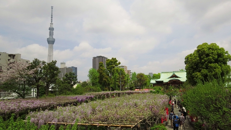 f:id:hana7_1111:20190423224947j:plain