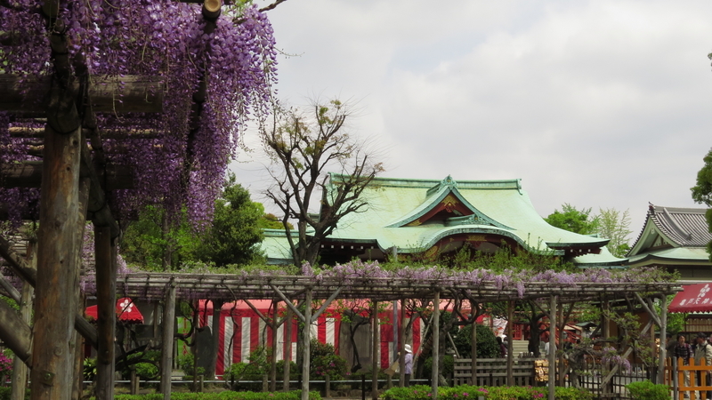 f:id:hana7_1111:20190424002932j:plain