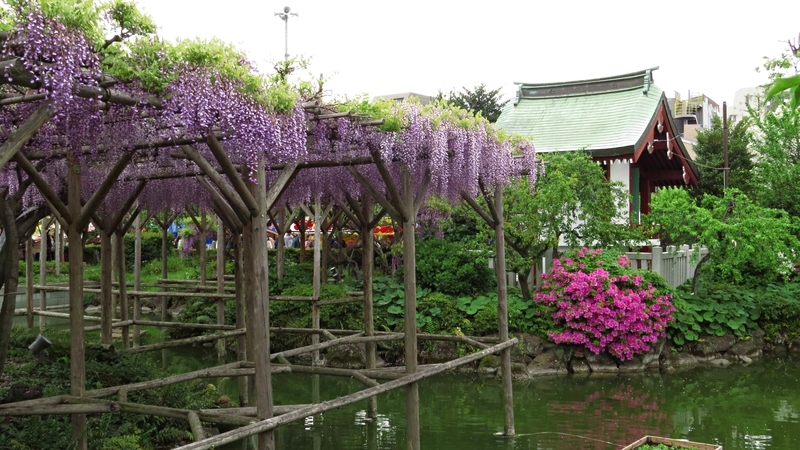 f:id:hana7_1111:20190427225026j:plain