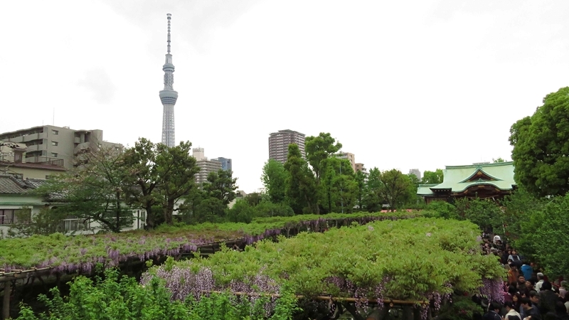 f:id:hana7_1111:20190427225033j:plain