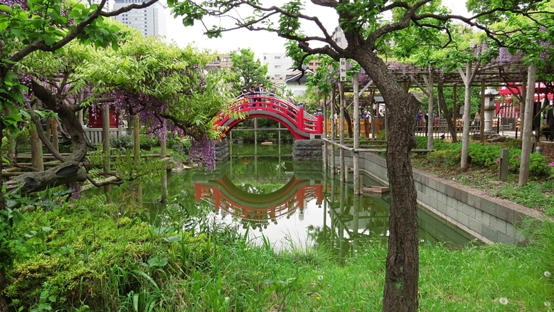 f:id:hana7_1111:20190427225128j:plain