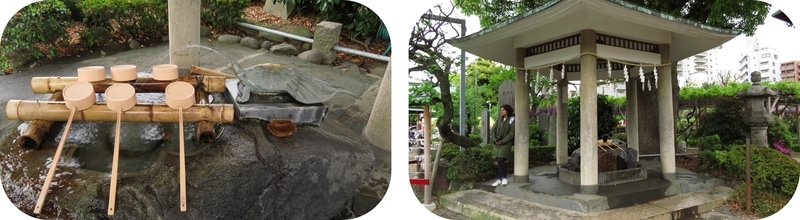 f:id:hana7_1111:20190427231322j:plain