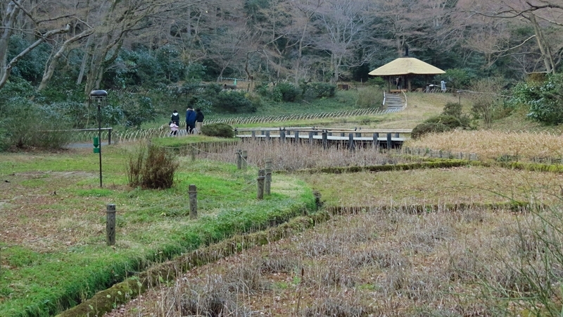 f:id:hana7_1111:20200111224157j:plain