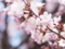 20140430124611