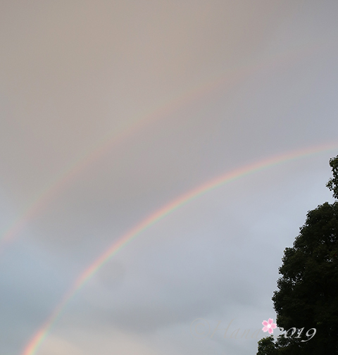 f:id:hana_b03A2019:20190828073118j:plain f:id:hana_b03A2019:20190828073118j:plain