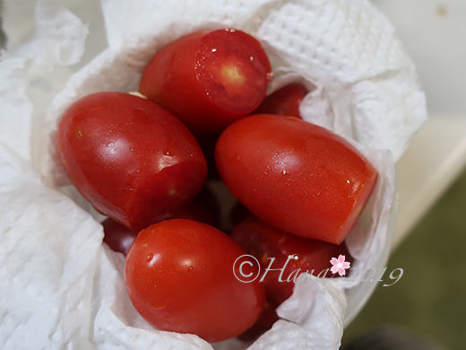 f:id:hana_b03A2019:20190828073535j:plain f:id:hana_b03A2019:20190828073535j:plain