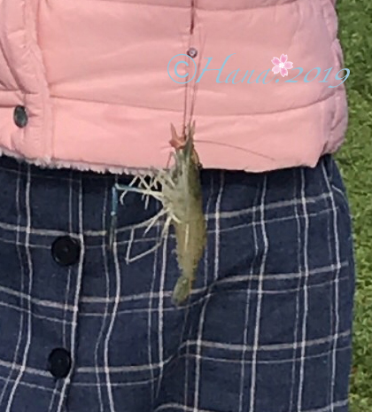 f:id:hana_b03A2019:20190828233509j:plain f:id:hana_b03A2019:20190828233509j:plain