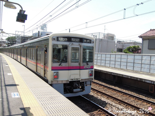イメージ 3