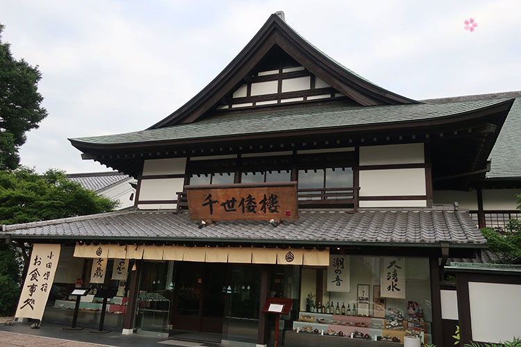 イメージ 11