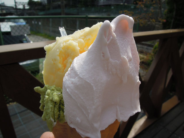 イメージ 8
