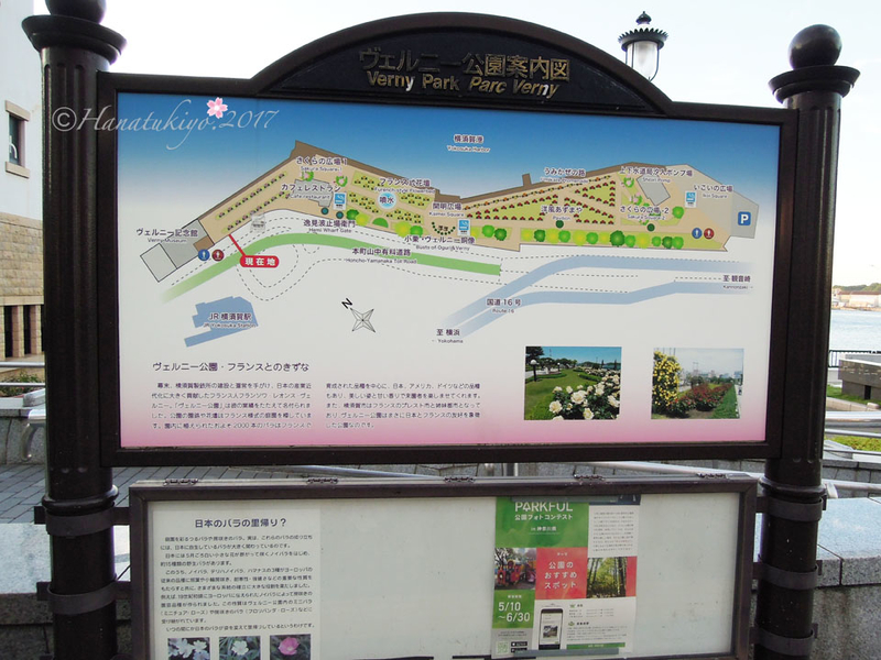 イメージ 4