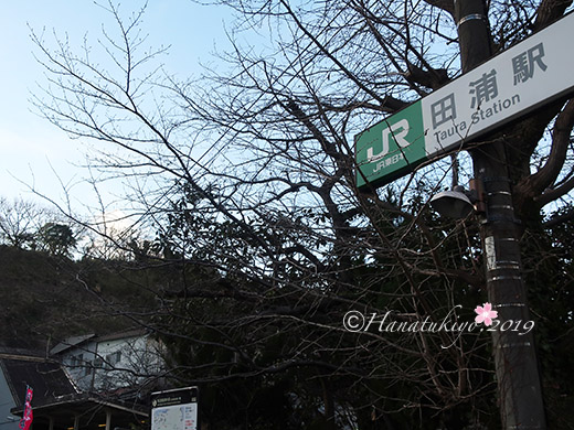 イメージ 8