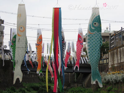 イメージ 6