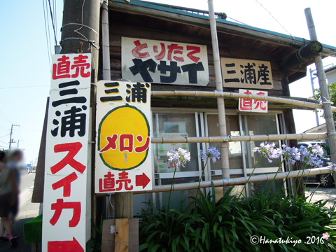 イメージ 4