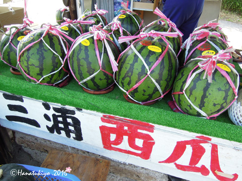イメージ 8