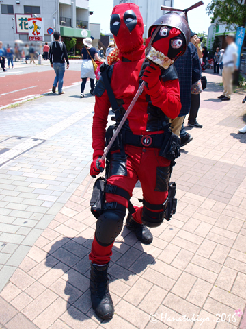 イメージ 9